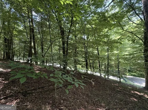 LOT 3469 Fir LN