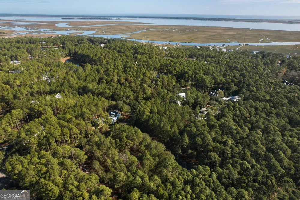 V/L 238 Lateral Buoy LN St. Marys, GA 31558