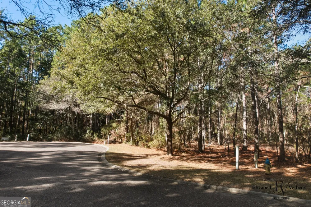 V/L 238 Lateral Buoy LN St. Marys, GA 31558
