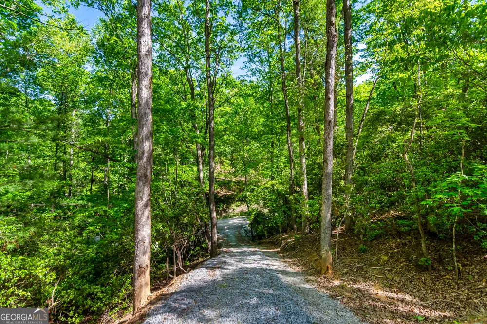 1472 Nugget LN Ellijay, GA 30540