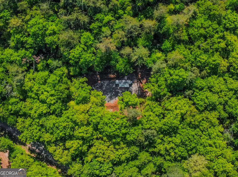 1472 Nugget LN Ellijay, GA 30540