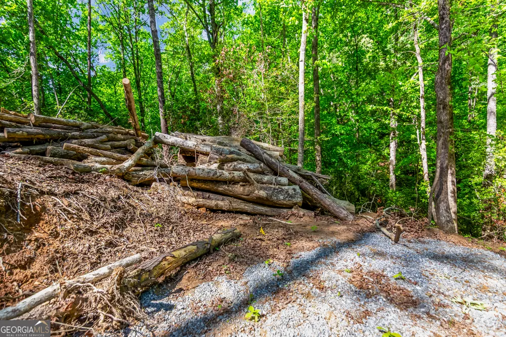 1472 Nugget LN Ellijay, GA 30540