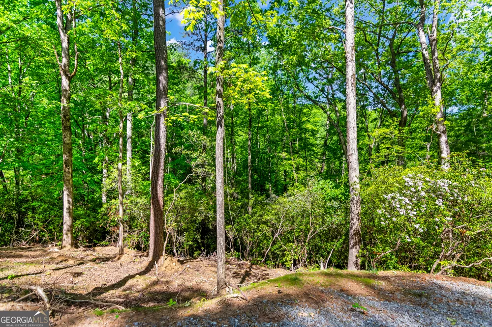 1472 Nugget LN Ellijay, GA 30540