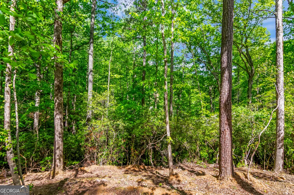 1472 Nugget LN Ellijay, GA 30540