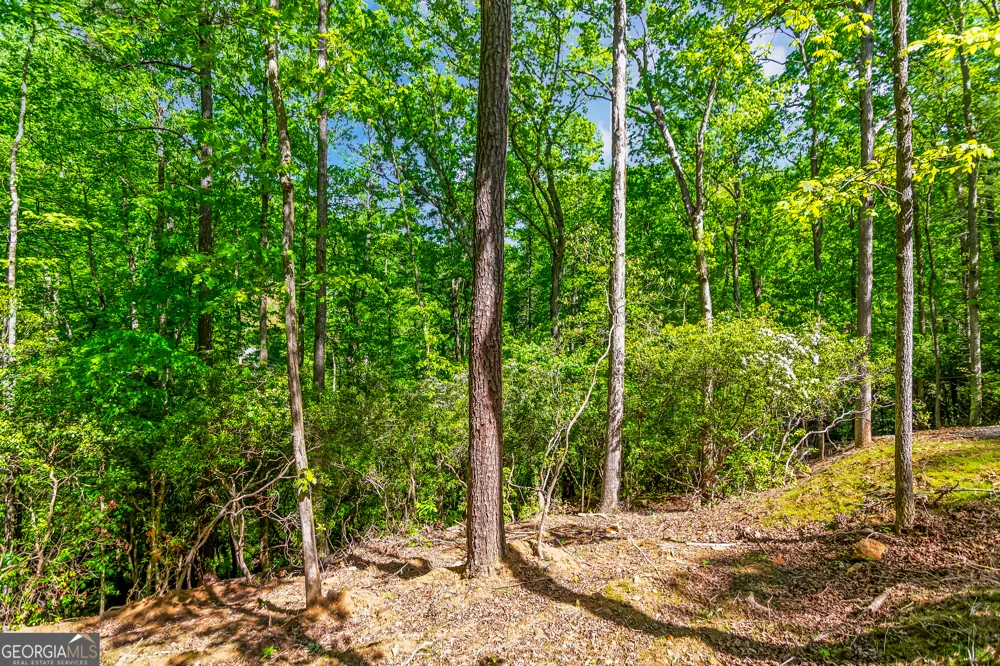 1472 Nugget LN Ellijay, GA 30540