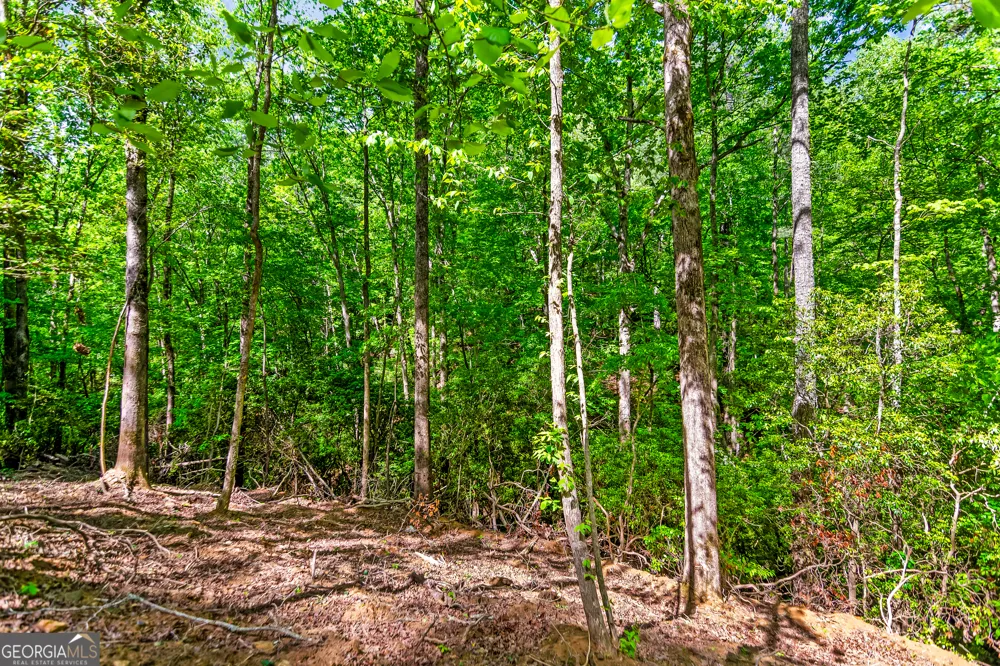 1472 Nugget LN Ellijay, GA 30540
