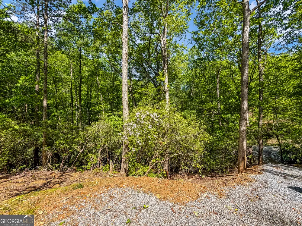 1472 Nugget LN Ellijay, GA 30540