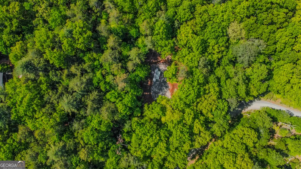 1472 Nugget LN Ellijay, GA 30540