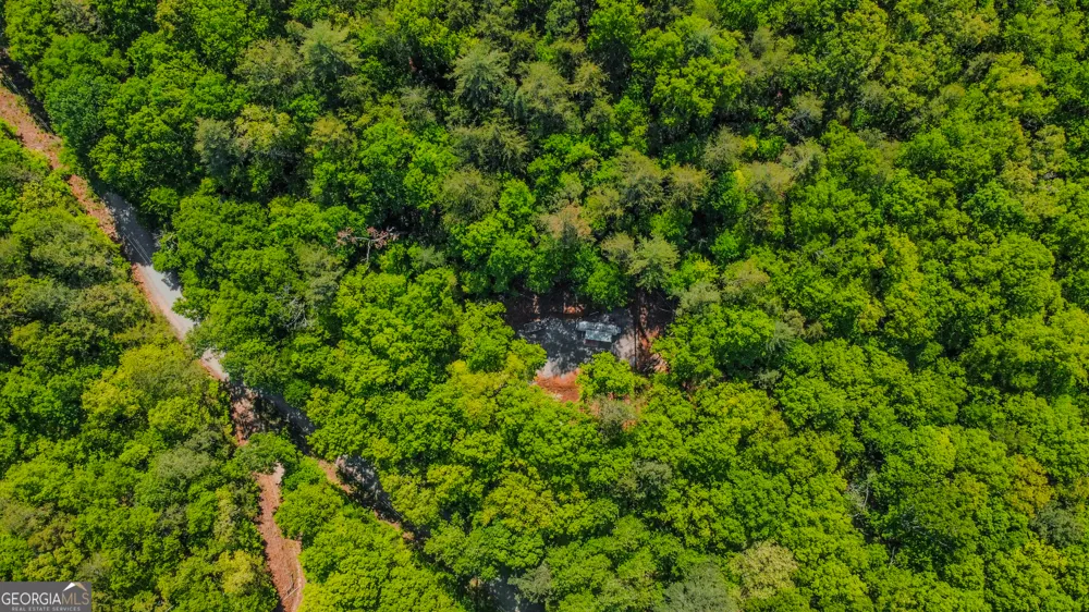 1472 Nugget LN Ellijay, GA 30540