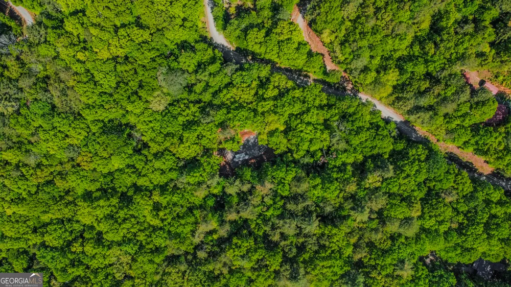 1472 Nugget LN Ellijay, GA 30540