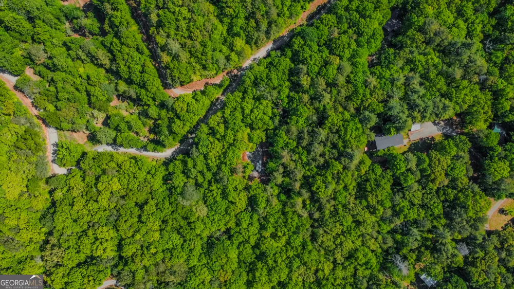 1472 Nugget LN Ellijay, GA 30540