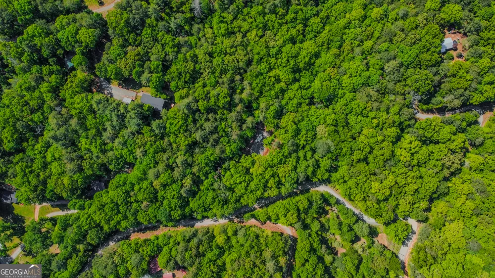 1472 Nugget LN Ellijay, GA 30540