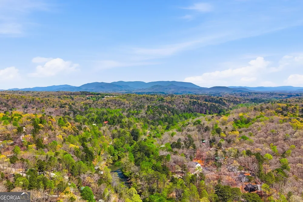 96 10th ST Ellijay, GA 30540