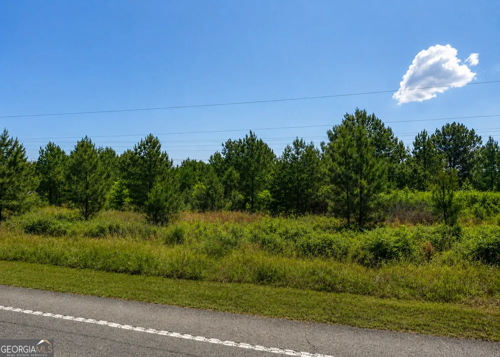 2.7 ACRES Flamingo EST Hawkinsville, GA 31036