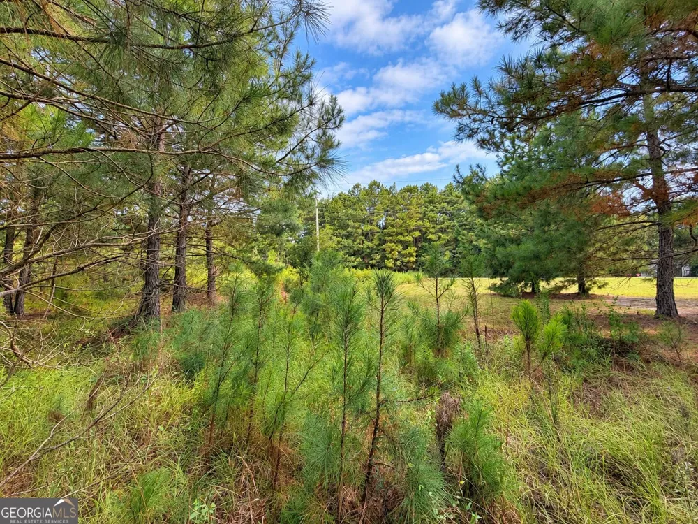 2.7 ACRES Flamingo EST Hawkinsville, GA 31036