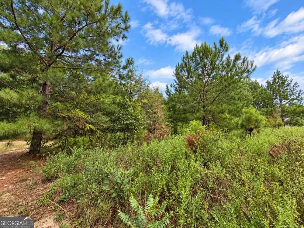 2.7 ACRES Flamingo EST Hawkinsville, GA 31036
