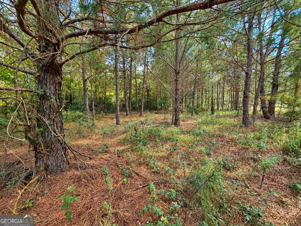 2.7 ACRES Flamingo EST Hawkinsville, GA 31036