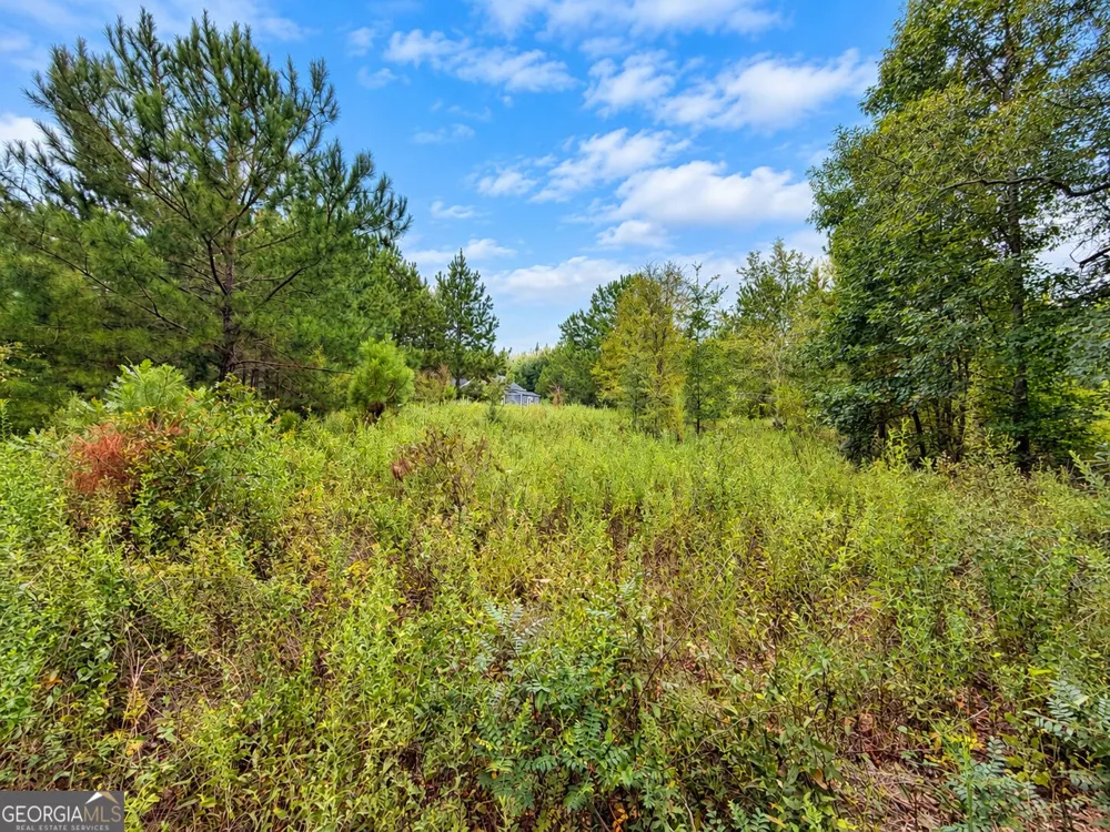 2.7 ACRES Flamingo EST Hawkinsville, GA 31036