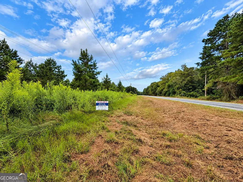 2.7 ACRES Flamingo EST Hawkinsville, GA 31036
