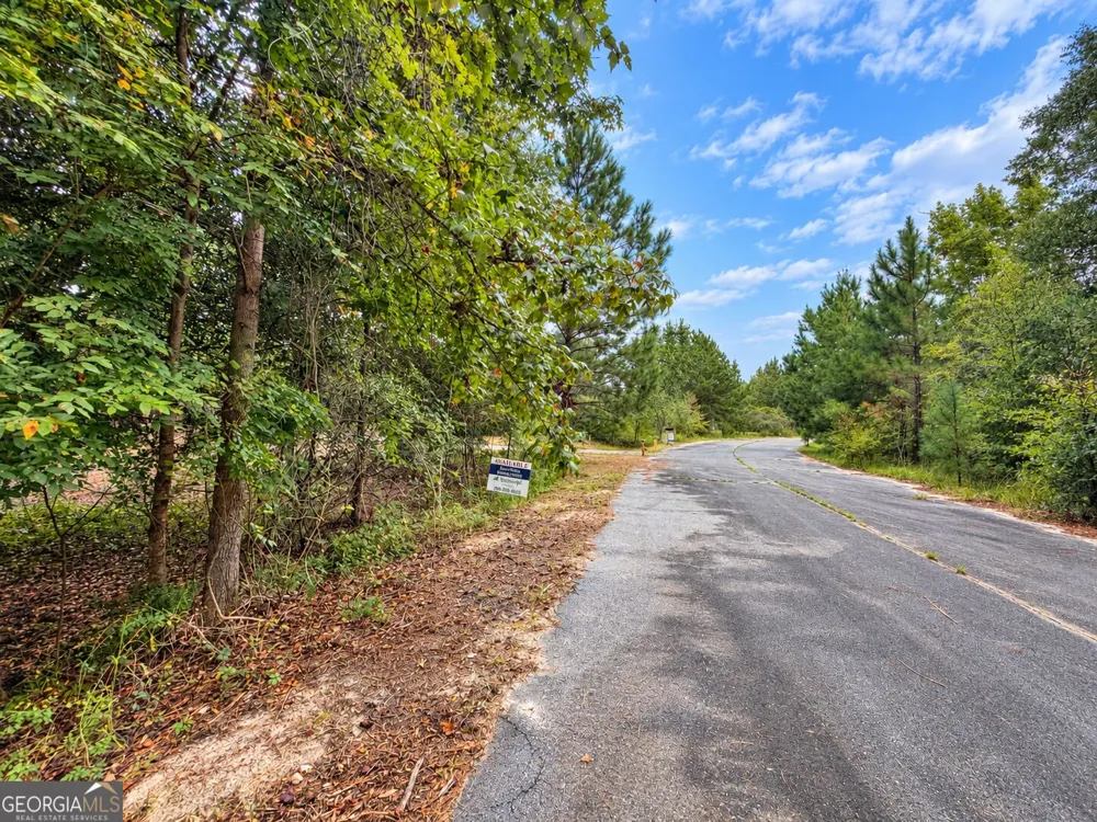 2.7 ACRES Flamingo EST Hawkinsville, GA 31036