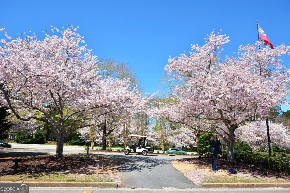 131 Vivian LN Peachtree City, GA 30269
