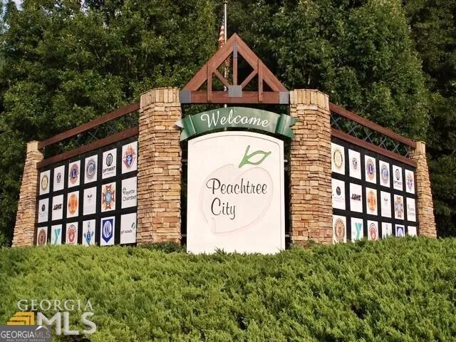 131 Vivian LN Peachtree City, GA 30269