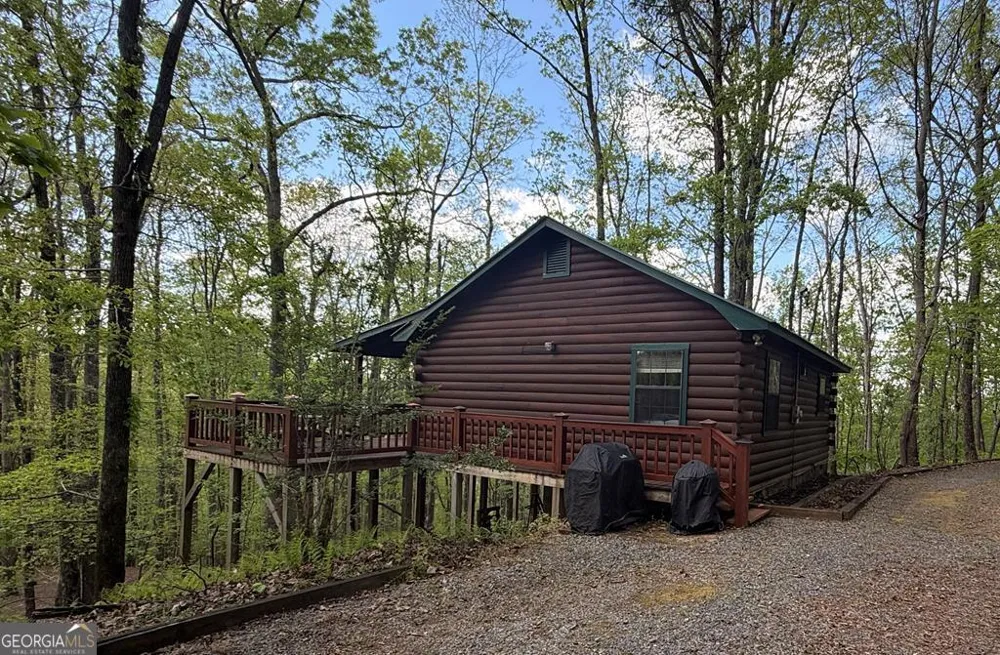 660 Ripshin Mountain RD Blue Ridge, GA 30513