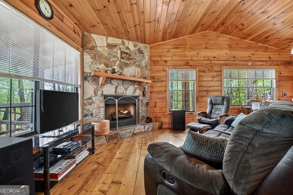 660 Ripshin Mountain RD Blue Ridge, GA 30513