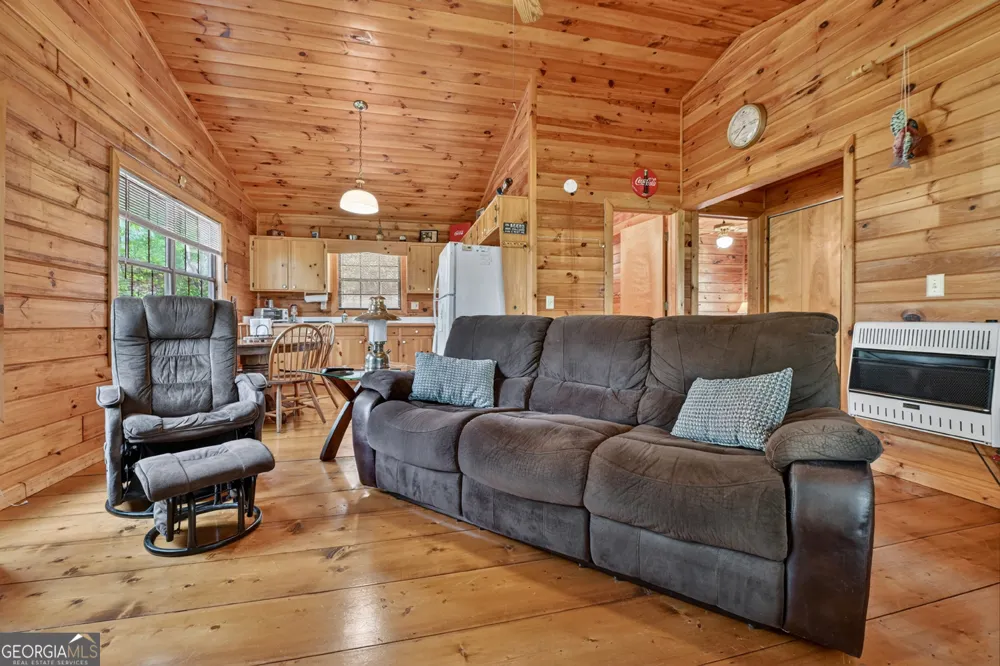 660 Ripshin Mountain RD Blue Ridge, GA 30513