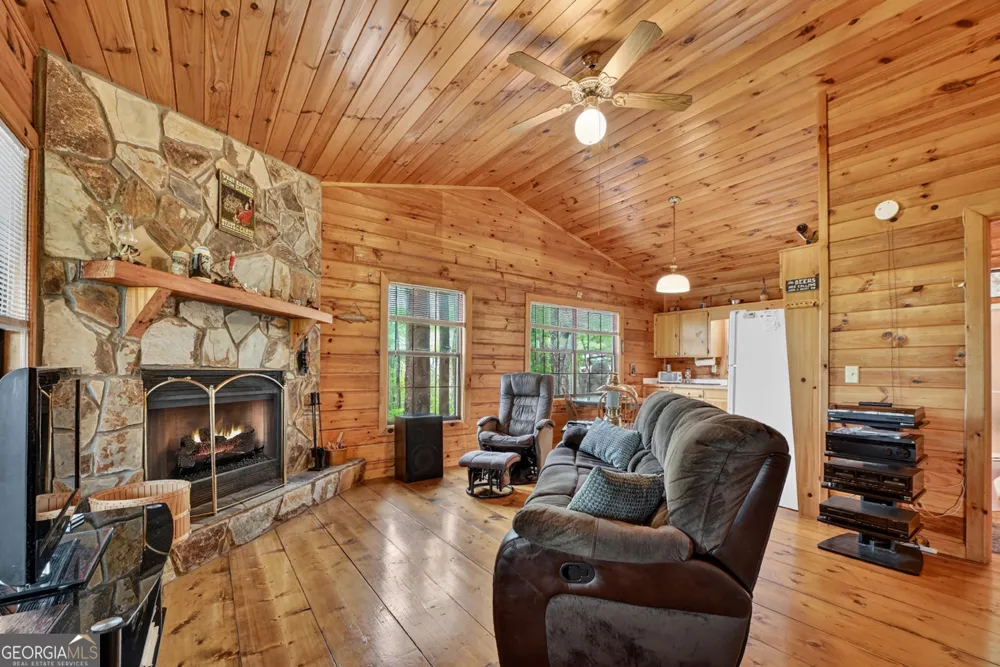 660 Ripshin Mountain RD Blue Ridge, GA 30513