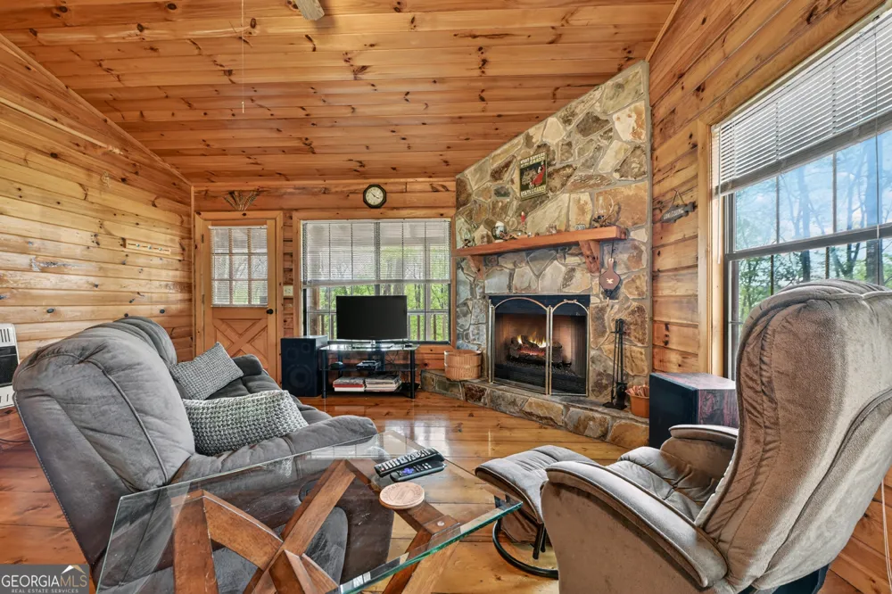 660 Ripshin Mountain RD Blue Ridge, GA 30513