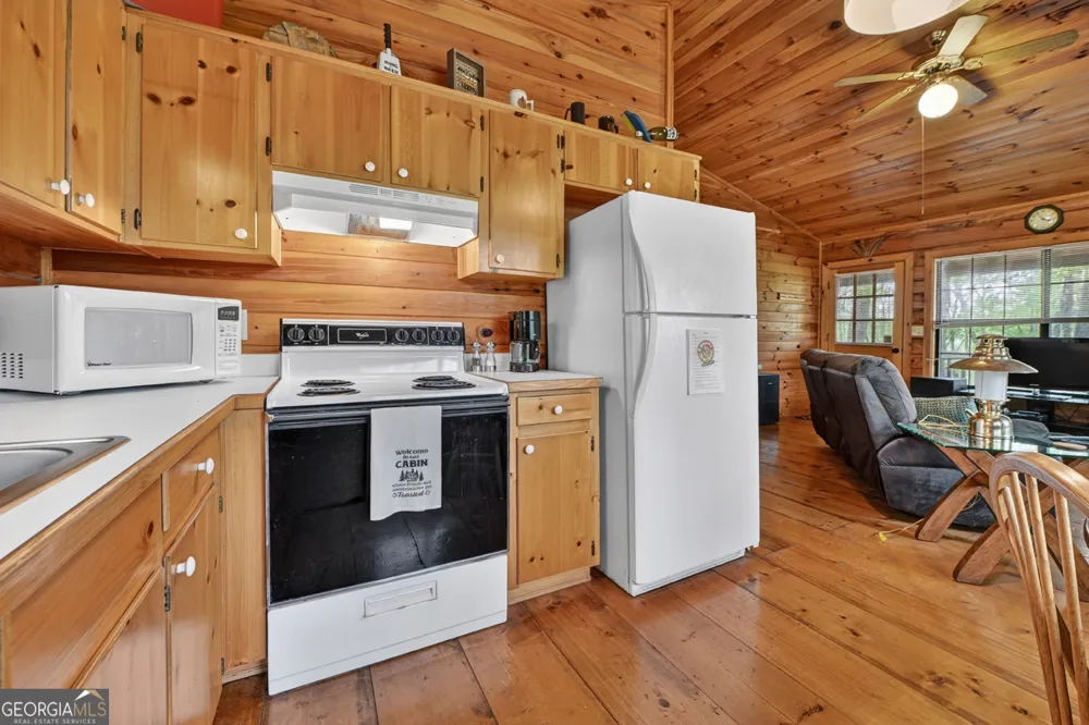 660 Ripshin Mountain RD Blue Ridge, GA 30513