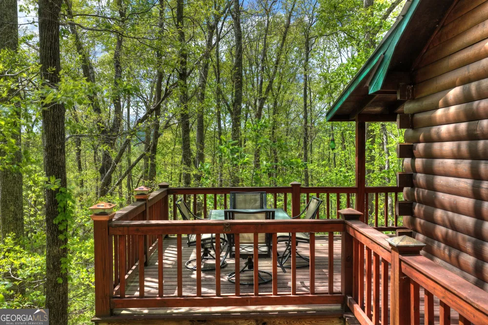 660 Ripshin Mountain RD Blue Ridge, GA 30513