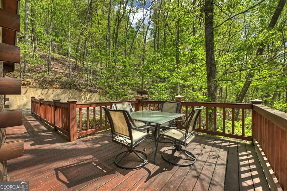 660 Ripshin Mountain RD Blue Ridge, GA 30513