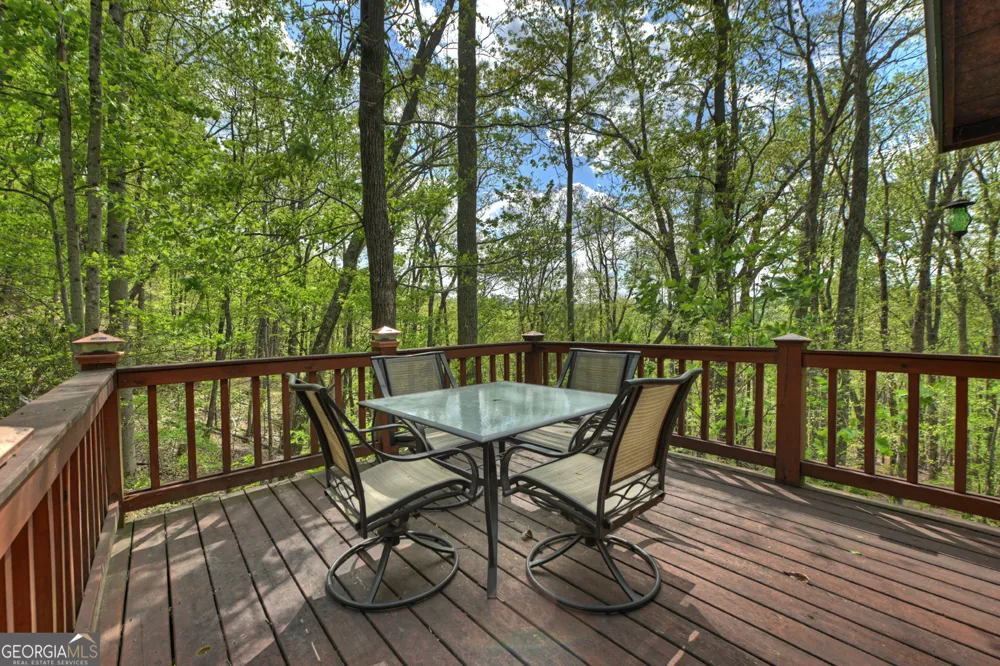 660 Ripshin Mountain RD Blue Ridge, GA 30513