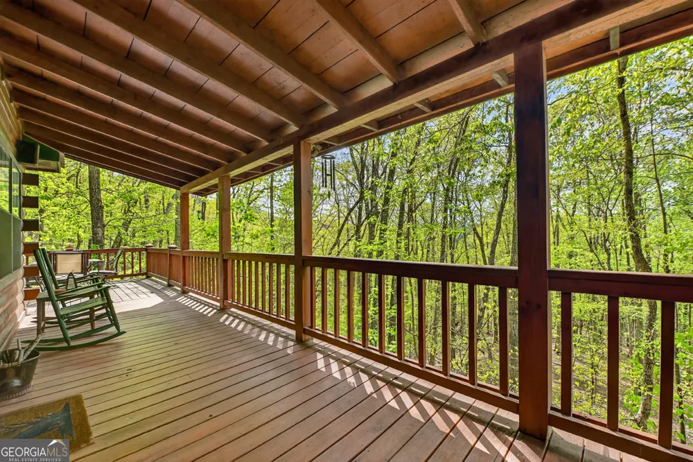 660 Ripshin Mountain RD Blue Ridge, GA 30513