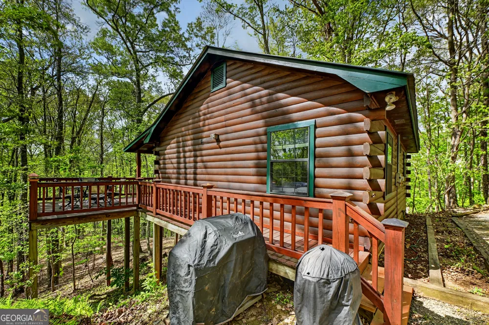 660 Ripshin Mountain RD Blue Ridge, GA 30513