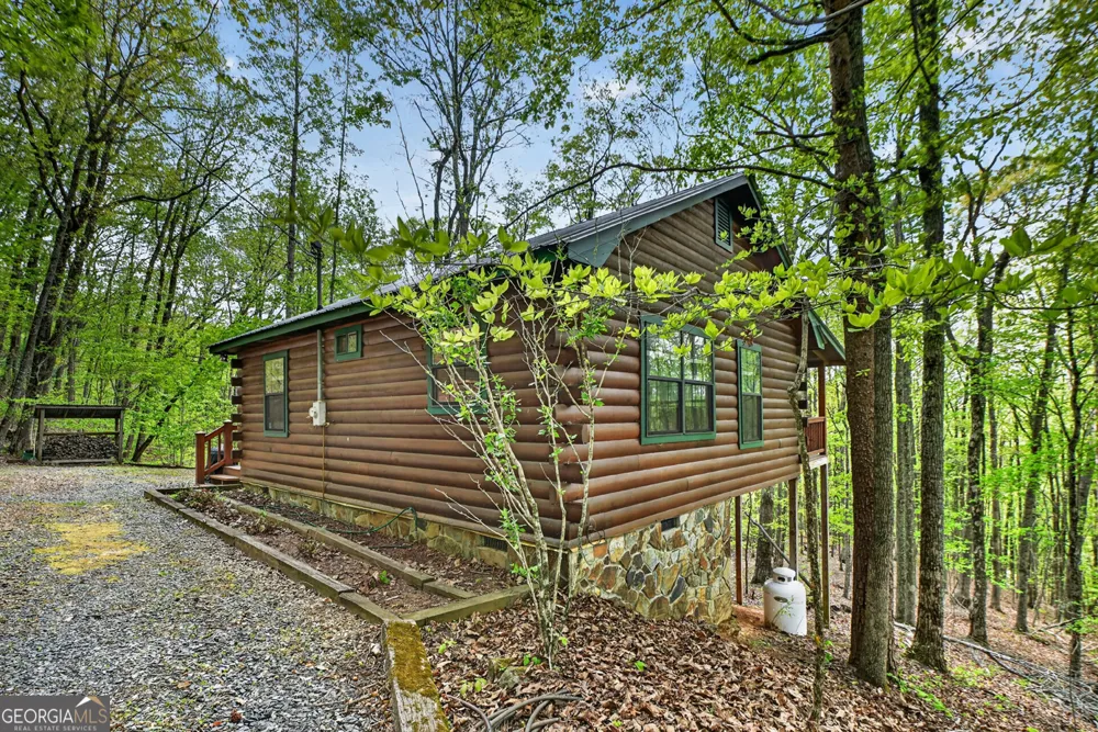 660 Ripshin Mountain RD Blue Ridge, GA 30513