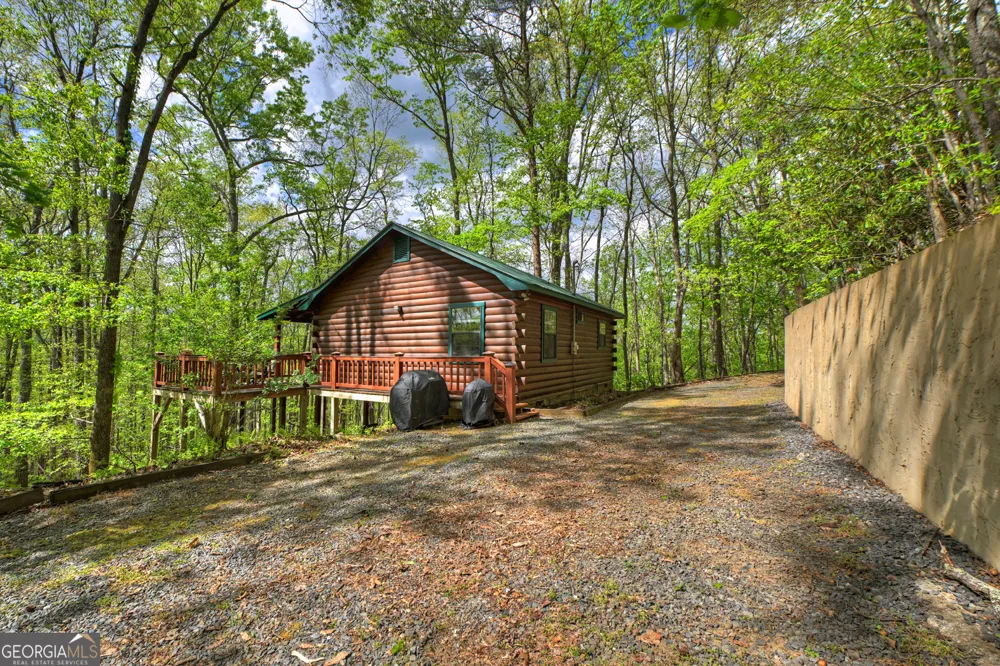 660 Ripshin Mountain RD Blue Ridge, GA 30513