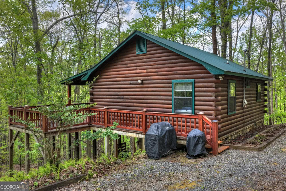 660 Ripshin Mountain RD Blue Ridge, GA 30513