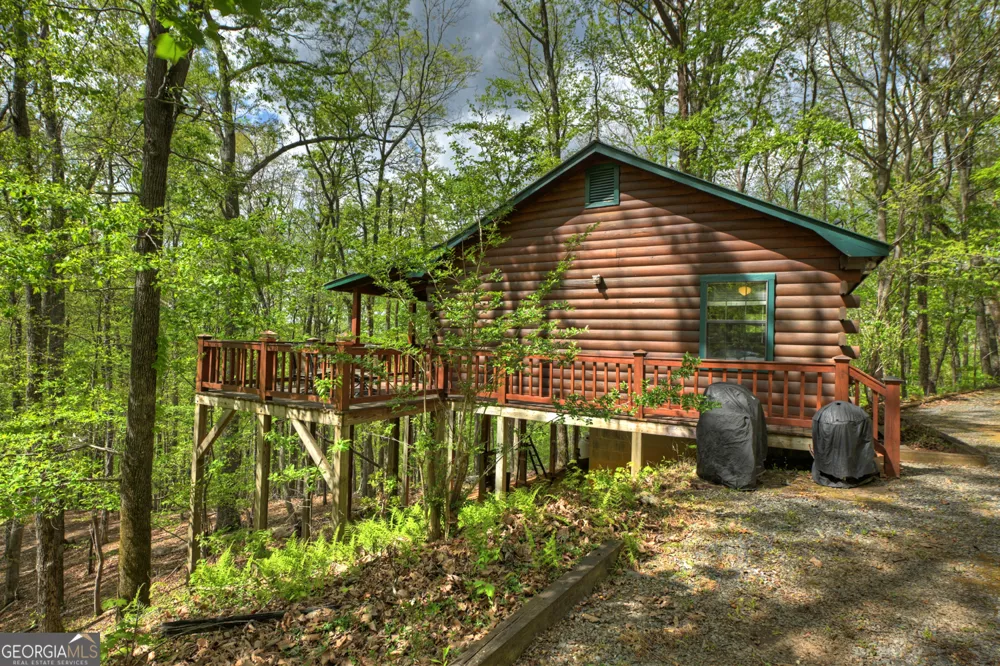 660 Ripshin Mountain RD Blue Ridge, GA 30513