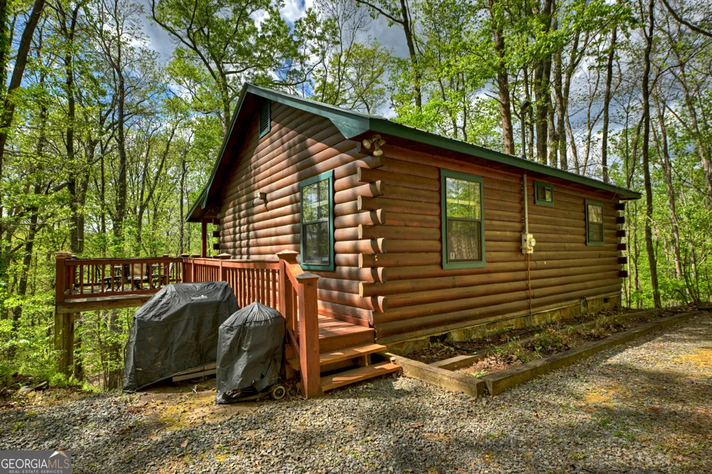 660 Ripshin Mountain RD Blue Ridge, GA 30513