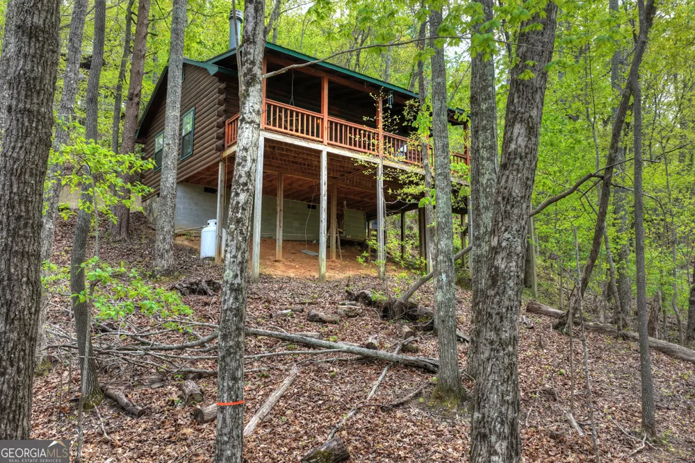 660 Ripshin Mountain RD Blue Ridge, GA 30513