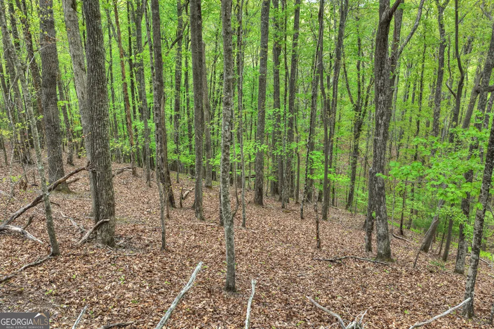 660 Ripshin Mountain RD Blue Ridge, GA 30513
