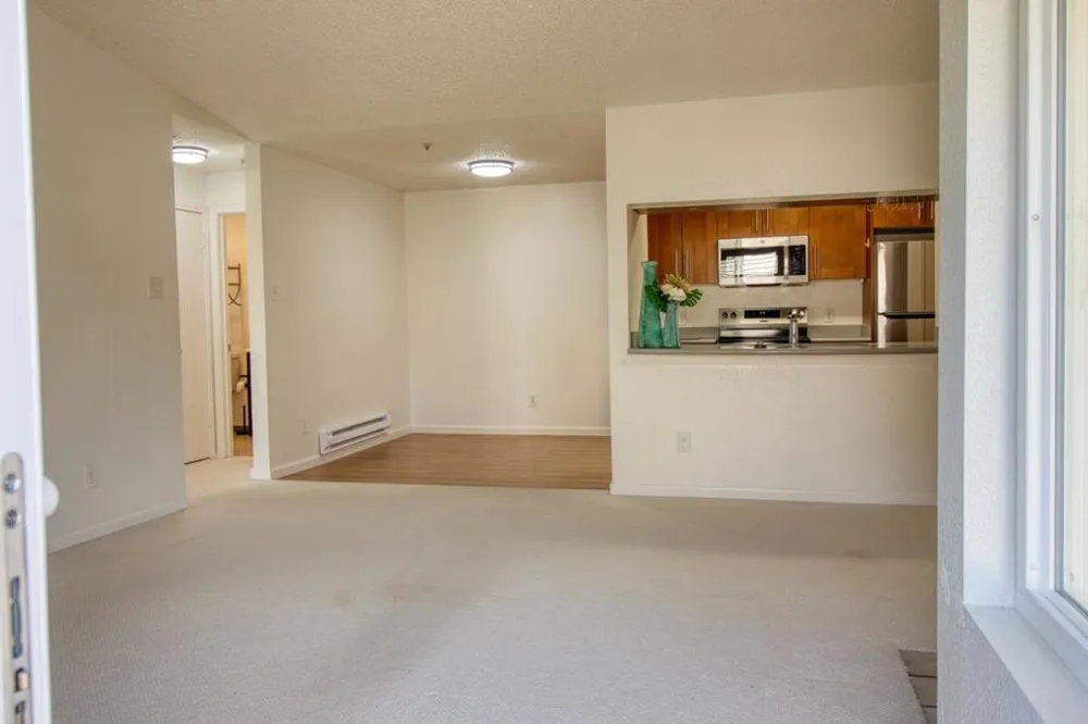 1201 Glen Cove Parkway #1816 Vallejo, CA 94591