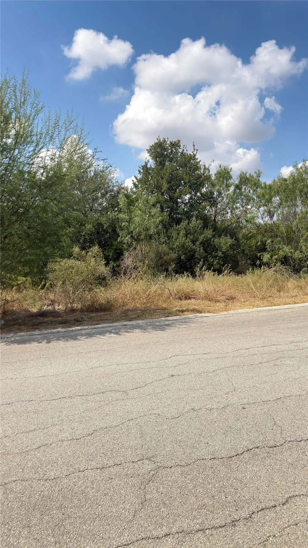 13210 Roundup Pass San Antonio, TX 78245