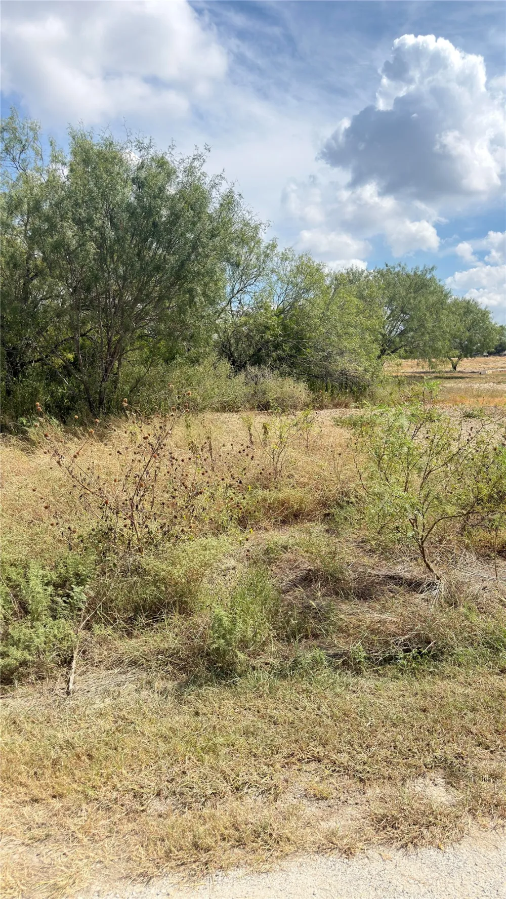 13210 Roundup Pass San Antonio, TX 78245