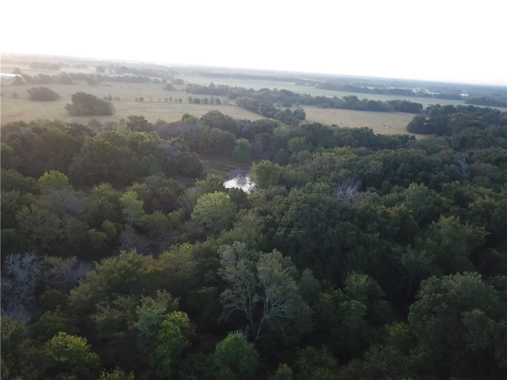 1747 W Highway 84 Mexia, TX 76667