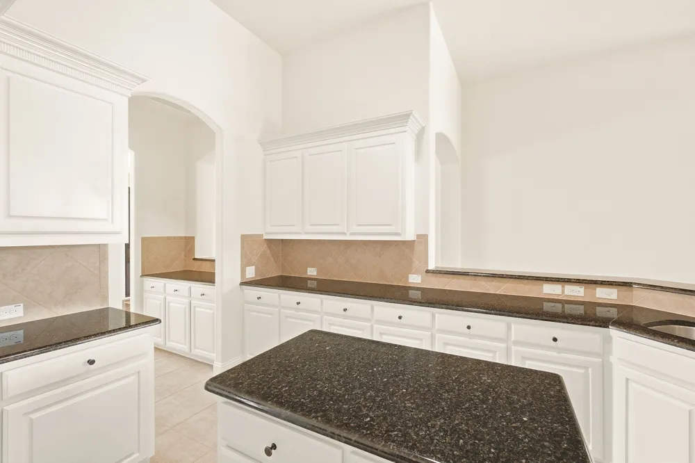 441 Wildwood Drive Murphy, TX 75094