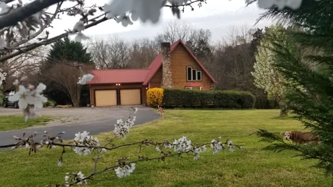 598 County Road 405